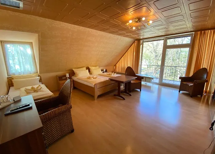 Heidekoenig ホテル 3*