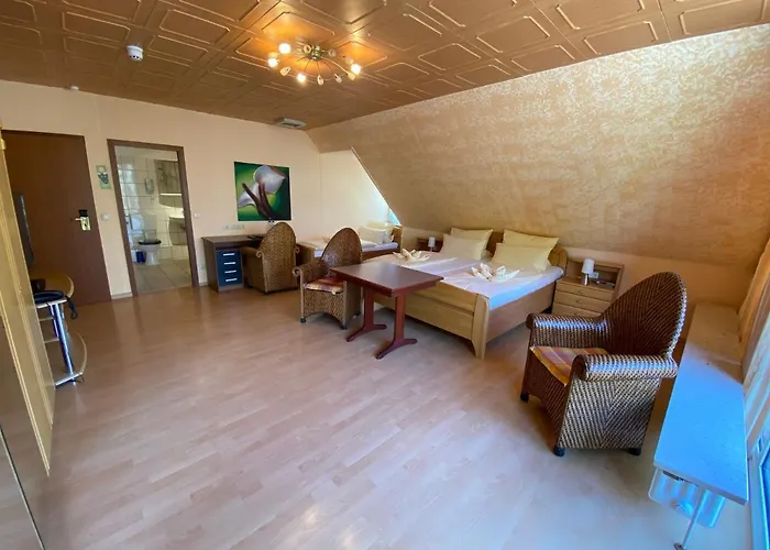 ホテル Heidekoenig 3*