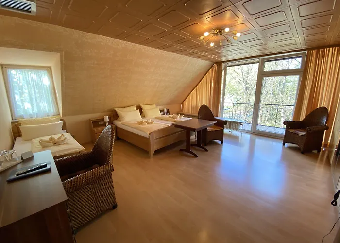 ホテル Heidekoenig 3*