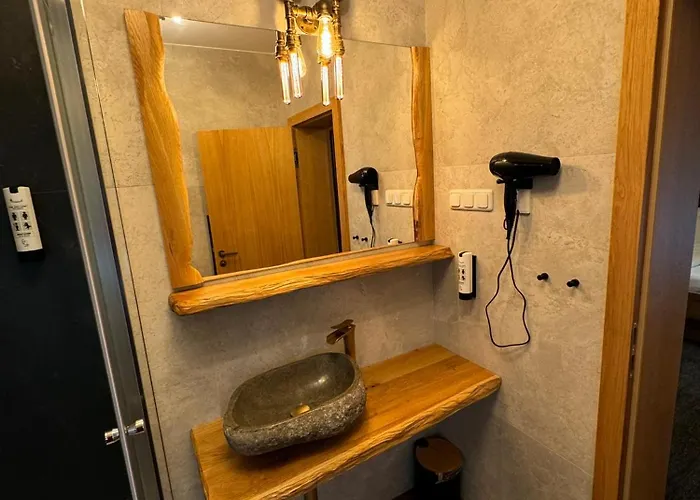 ホテル Heidekoenig