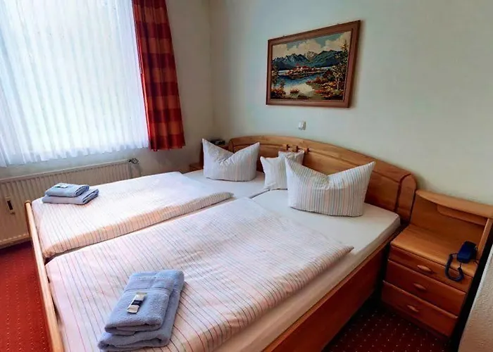 ホテル Heidekoenig 3*